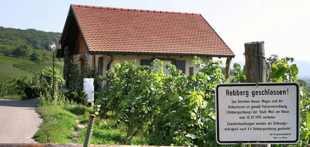 Das soll es knftig auch am Tllinger nicht mehr geben: geschlossene Rebberge   | Foto: Welti