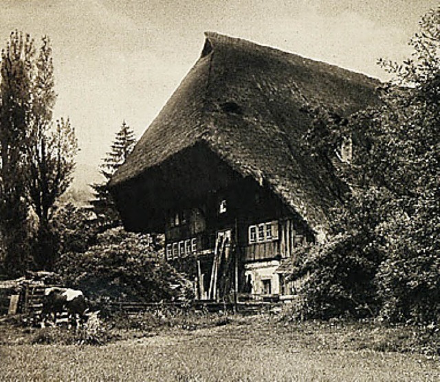 Der Schwarzwaldhof ist ein Sinnbild fr Heimat in Baden.  | Foto: privat