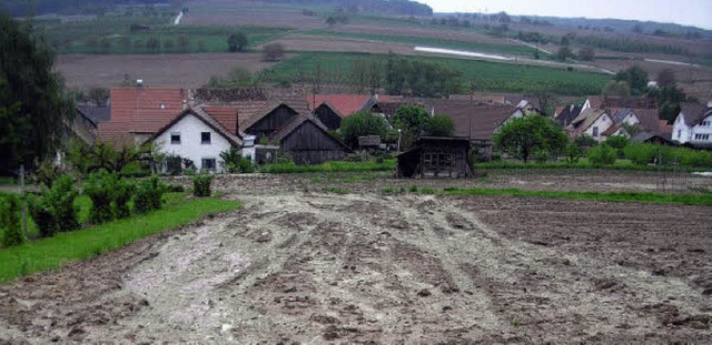 Auf Egringen zustrmende Schlammbrhe ...gegen die berschwemmungsgefahr sind.   | Foto: senf