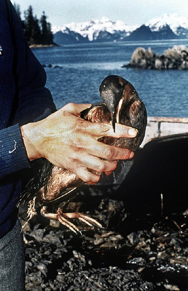 Wie sich die Bilder gleichen: ein Foto...en nach der Havarie der Exxon Valdez.   | Foto: dpa