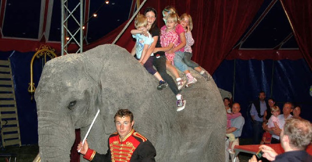 Nimm Platz auf dem Elefantenrcken! Der Zirkus Kaiser macht&#8217;s mglich.   | Foto: Teuber