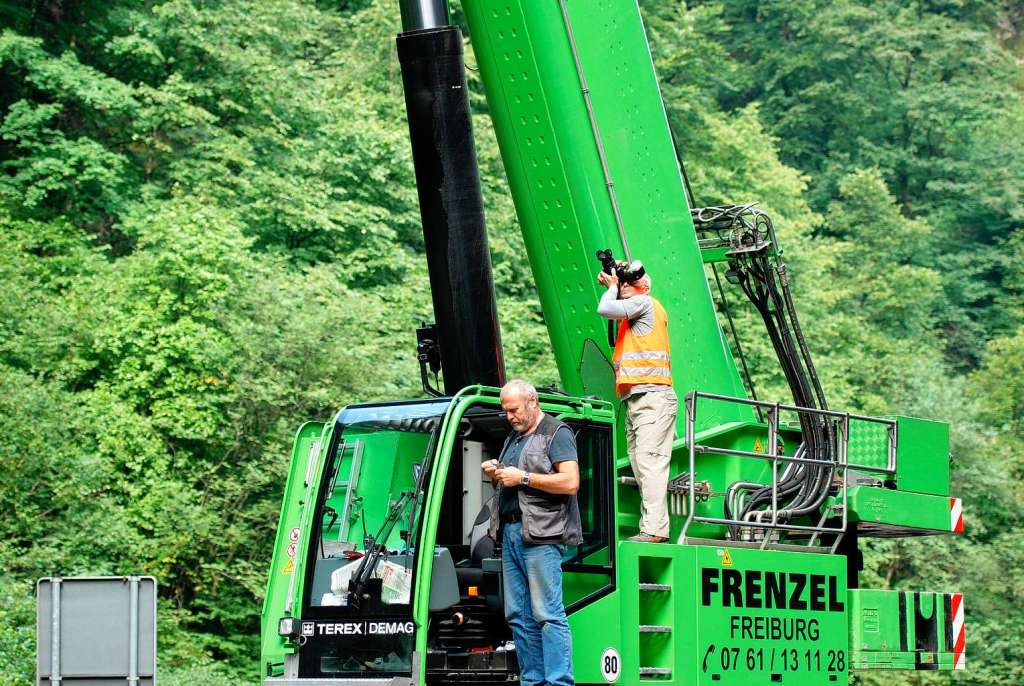 Der Hirsch im Hllental muss wegen Felssicherungsmanahmen an der B31 weichen.