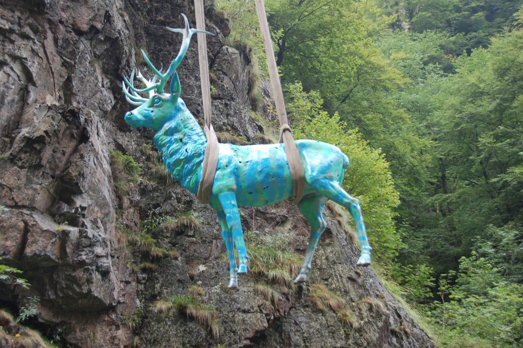 Der Hirsch im Hllental muss wegen Felssicherungsmanahmen an der B31 weichen.