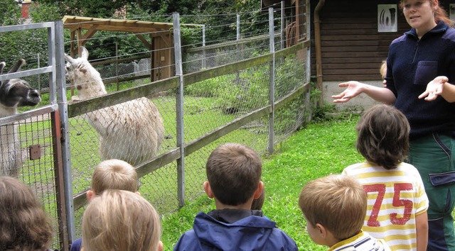 Interessiert hrten die Kinder im Zoo der Tierpflegerin zu.   | Foto: H. Dezulian