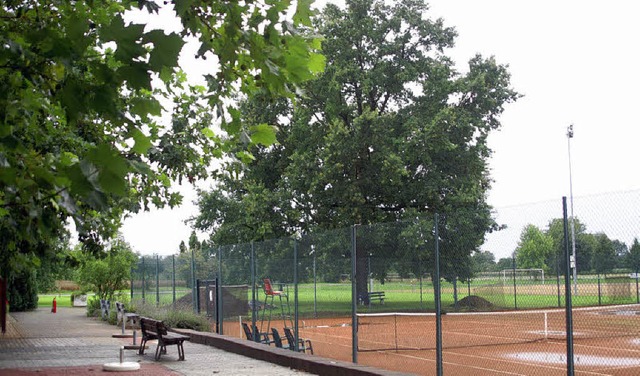 Aus fr die Eiche am Tennisplatz: Sie ...tze beim Tennisclub Weisweil weichen.  | Foto: Ilona Hge