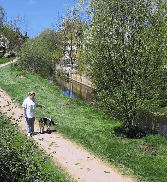 Der Hochwasserschutz Brndbach wird im...fr die Brunlinger Stadtkasse sein.    | Foto: Maier