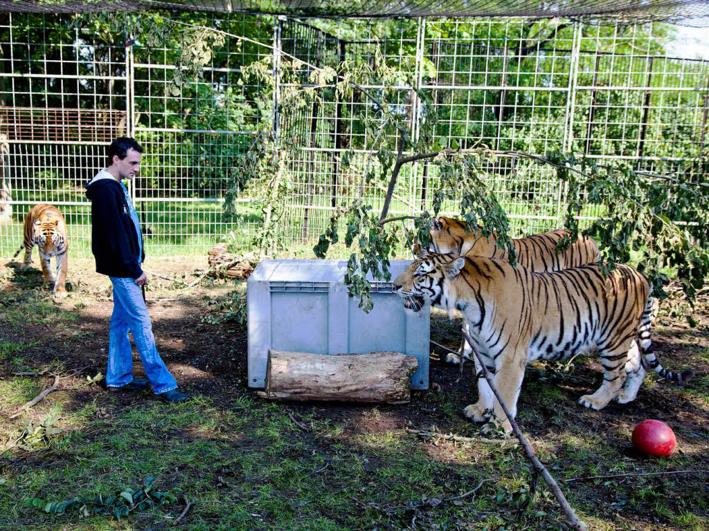 Christian Walliser und seine Tiger Christian Walliser und seine Tiger