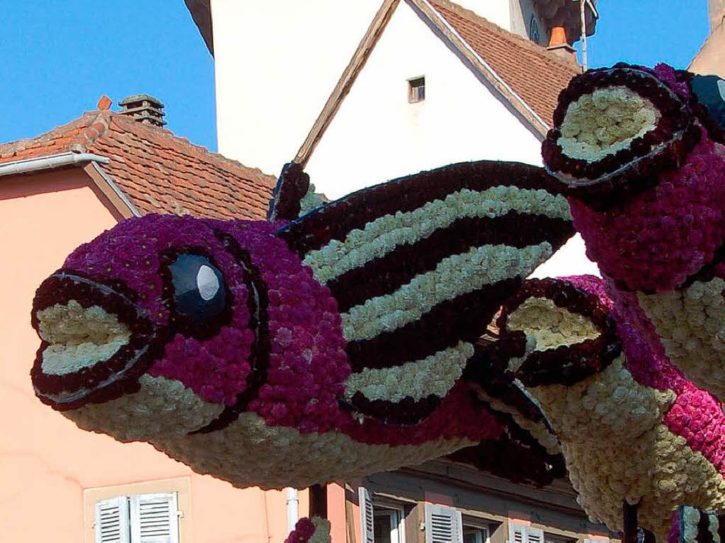 Fliegende Fische