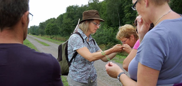 Regina Ostermann lsst die Teilnehmer an Pflanzen und Krutern riechen.   | Foto: Ulrike Derndinger