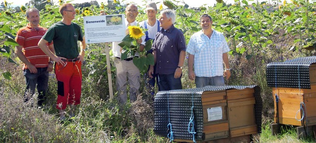 Landwirte tragen  durch Bienenweiden z...istoph Huber (Imkerverein Oberkirch).   | Foto: Fotos: Seller/MLR
