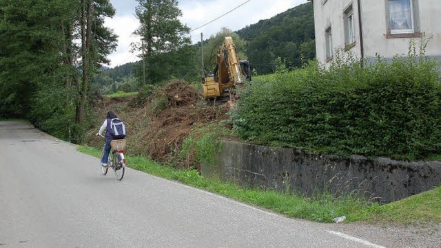 Die Fortsetzung des Rad- und Fugnger...chlagen und es wurden Bume gefllt.    | Foto: W. Beck