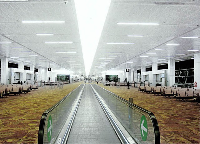Im Terminal 3 des Indira Gandhi-Flugha...-Projekt in krzester Zeit realisiert.  | Foto: privat