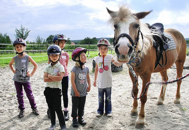 Mit dem Pferd auf Du und Du. Kinder auf dem Reiterhof.   | Foto: Stehle