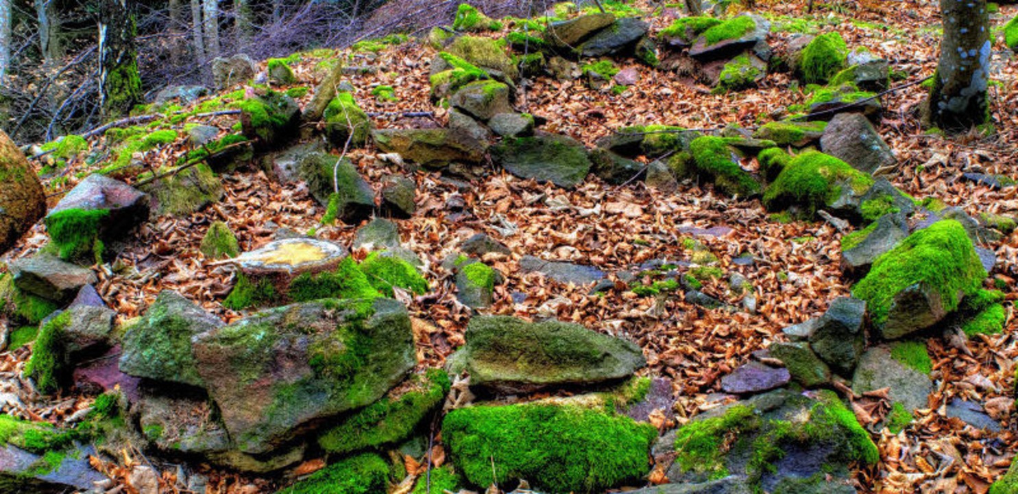 Kultsttte oder Burg? Die Rtsel um de...em Stockberg sind noch heute ungelst.  | Foto: Birgit-Cathrin Duval