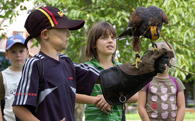 Mutige Kinder &#8211; Julius Kopf hlt einen Greifvogel.  | Foto: ulrike derndinger