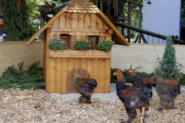 Wo Hühner einen eigenen Bauernhof haben