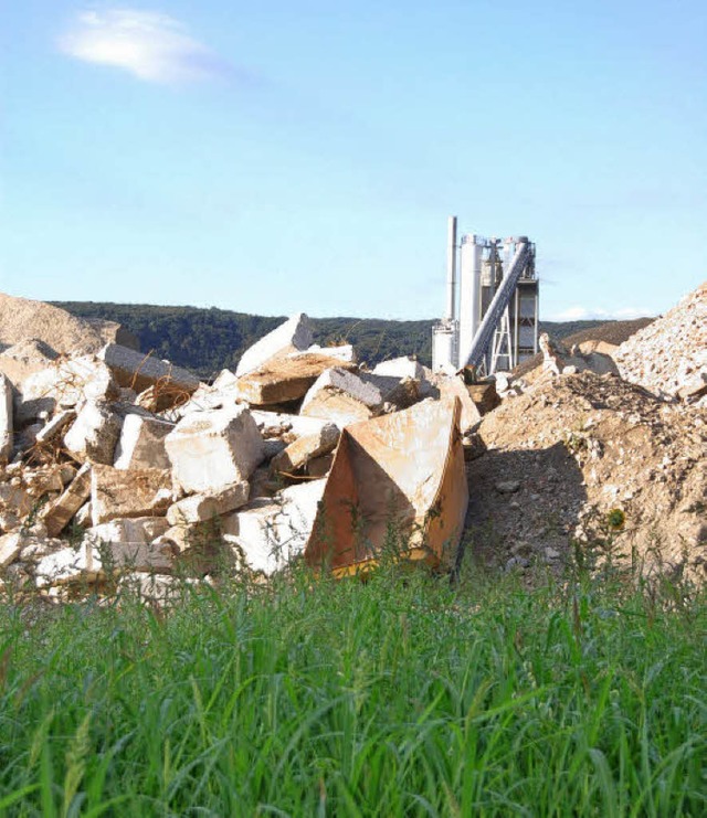 Wo vor kurzem noch Schuttberge lagerte...ekeimt. Weiterer Schutt muss noch weg.  | Foto: Ralf H. Dorweiler