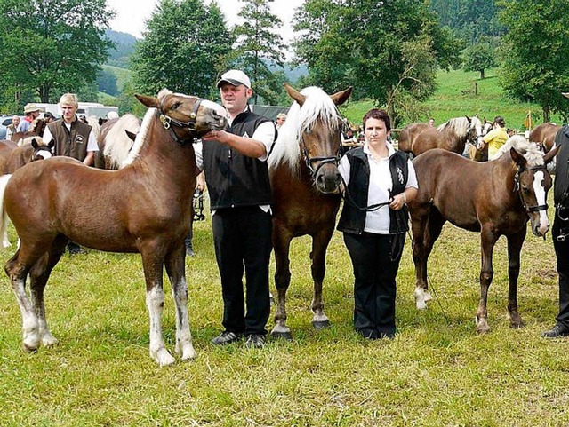 Sieger bei der Fohlenschau im Kohlenba...Elana&quot; (rechts) vom Baiertonihof.  | Foto: Eberhard Wei