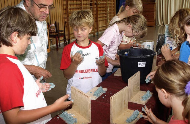 Wie viel Arbeit die Schwalben mit ihre...geln Nisthilfen zu basteln versuchten  | Foto: Karin Stckl-Steinebrunner