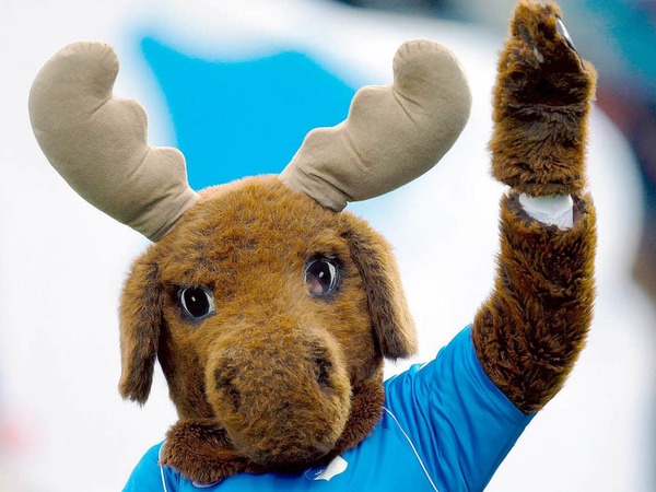 Hoffenheims Elch "Hoffi" heizt den Fans seit 2004 im Stadion ein.