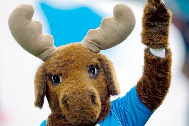 Fotos: Welcher Fuballverein hat das schnste Maskottchen?