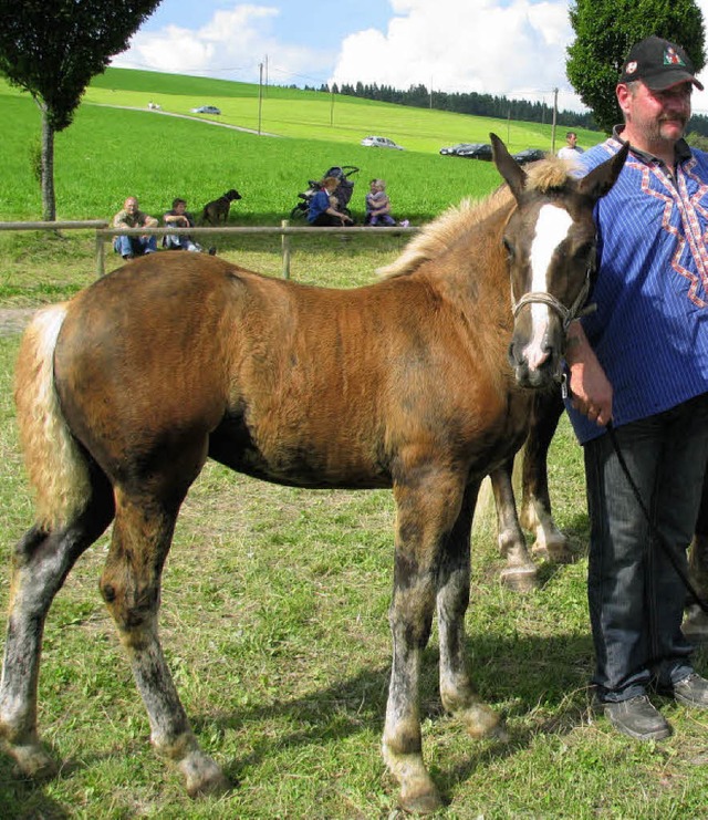 Das Siegerstutfohlen  Schwarzwlder Ka...es Vento und derLeistungsstute Fanny.   | Foto: Monika Rombach