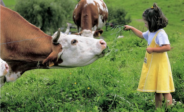 Besonders Kinder lieben Urlaub auf dem Land.   | Foto: BZ