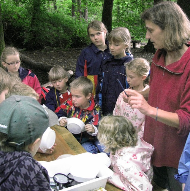 Ruth Reinke erklrte den Kindern, wie man Kleinlebewesen im Bach findet.   | Foto: michael gottstein