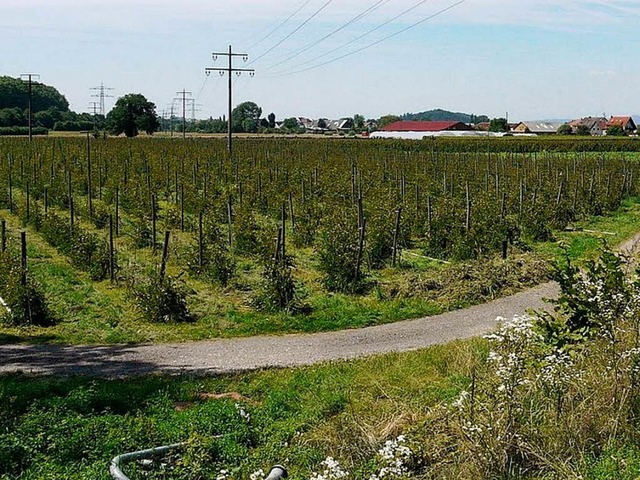 Auf groen Teilen der jetzt noch landw... ein Gewerbegebiet ausgewiesen werden.  | Foto: Eberhard Wei