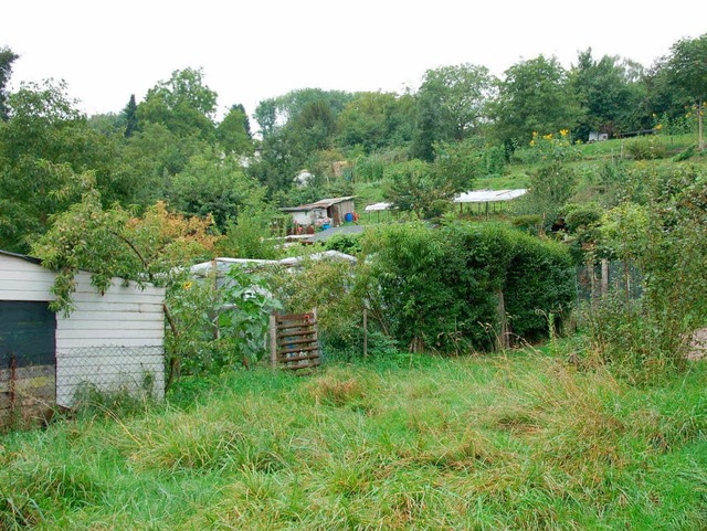 Nicht alle, aber viele Gartenhtten wu...das Thema in den nchsten Jahren auf.   | Foto: Trenz