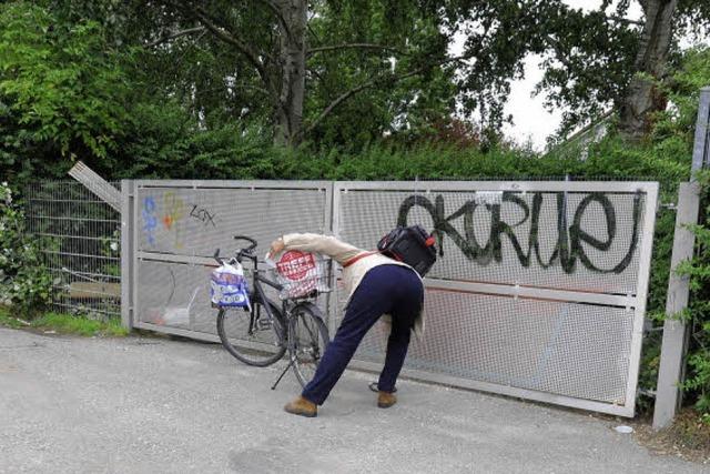 Poller sollen Abhilfe bringen