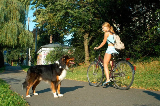 Was tun, damit sich Radfahrer und Hunde nicht in die Quere kommen (Symbolbild)?  | Foto: Thomas Kunz