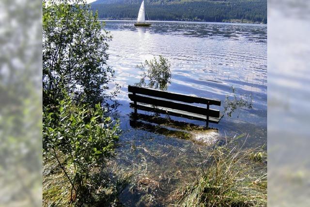 Der See schluckt die Badepltze