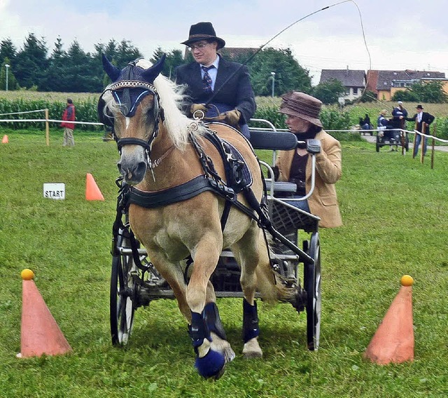 Sieger im Zwei-Phasen-Hindernisfahren ...ecker mit  Pferd Fritz aus Ichenheim.   | Foto: dieter fink