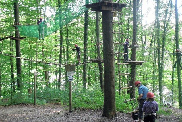 Mutproben zwischen Baumstmmen