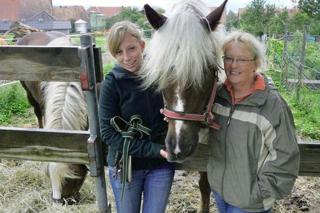 Mit den Zgeln in der Hand