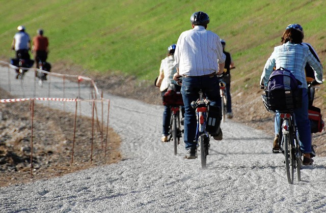 Spurrillen machen Radlern am Rhein  das Leben schwer.  | Foto: H. Lauber