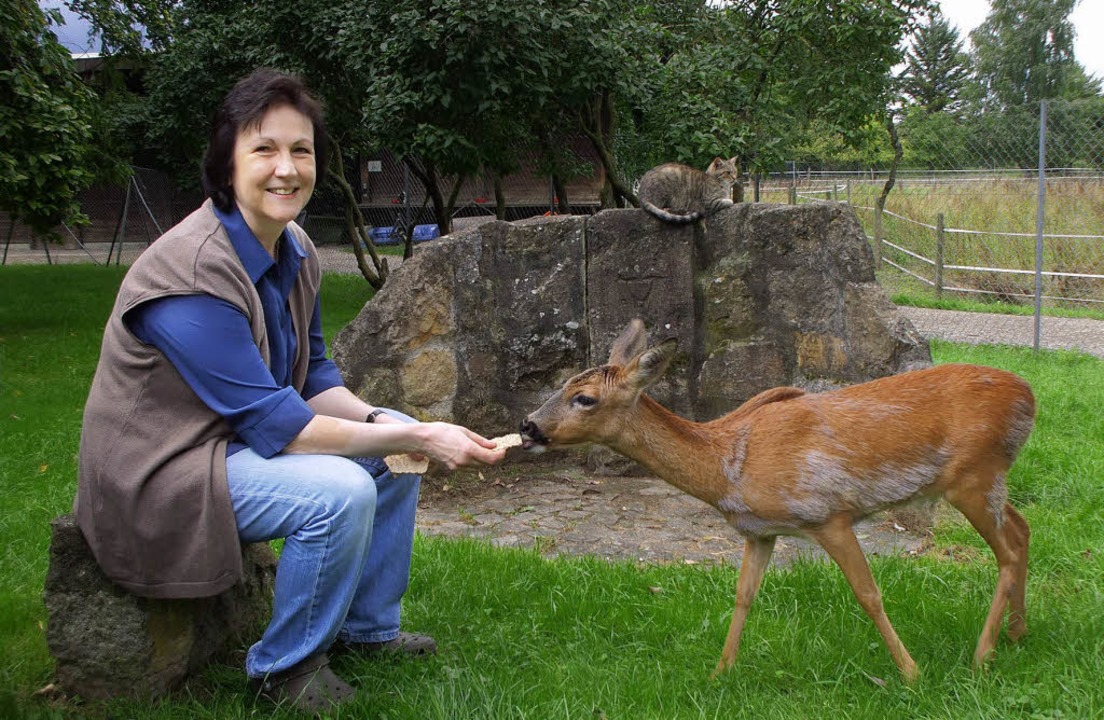 In Tierheimen und Tierpensionen herrscht Hochbetrieb Ehrenkirchen