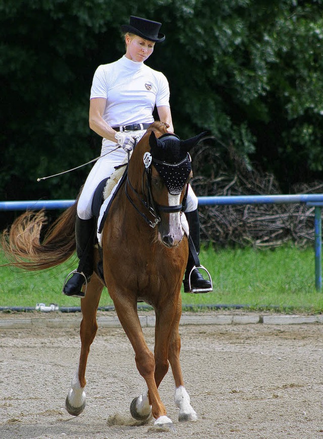 Flieende Bewegungen: Dandy berzeugte...r M-Dressur beim Turnier in Ihringen.   | Foto: Birkenhofer