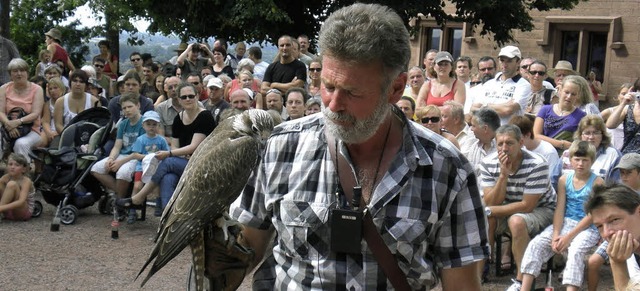 Faszination Falknerei: Franz Ruchlak u...chten sie einem groen Publikum nahe.   | Foto: Cornelia Weizenecker