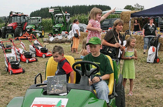 Stets gut besucht ist das Niederhofer Hoffest.   | Foto: Archivfoto: Peter Rosa