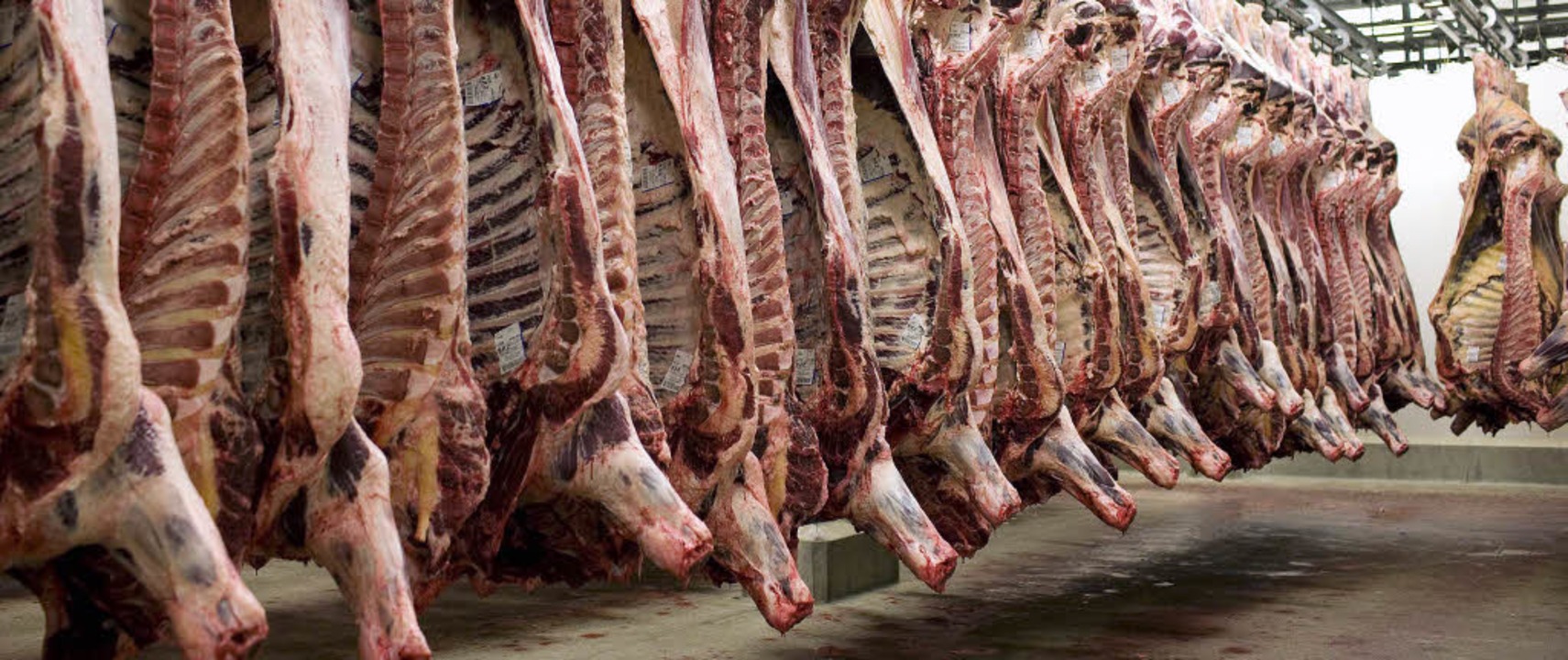 Zum Verzehr bestimmt: Rinderhälften im Kühlhaus eines Schlachthofs   | Foto: dpa