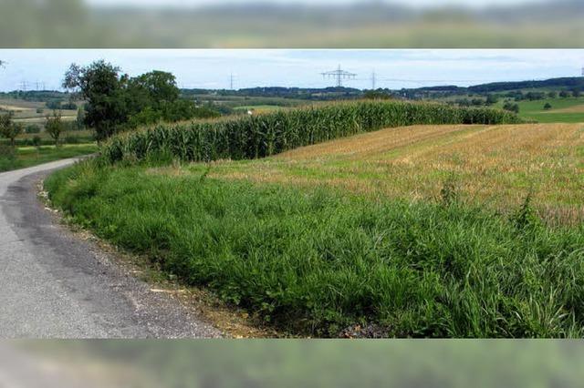 Biogas: Rte wollen Klarheit