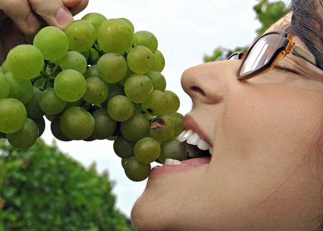 Die Zell-Weierbacher Weinprinzessin Katharina Deck  testet die Findlingtrauben.   | Foto: Patrick Seeger