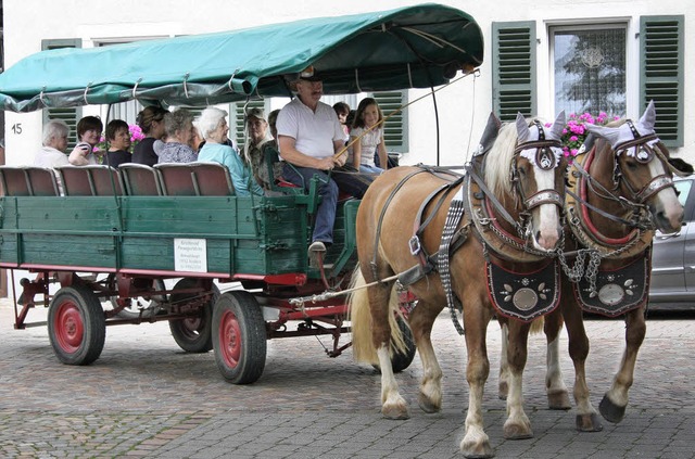 Mit 2 Pferdestrken waren Senioren des... St. Katharina in Endingen unterwegs.   | Foto: Privat
