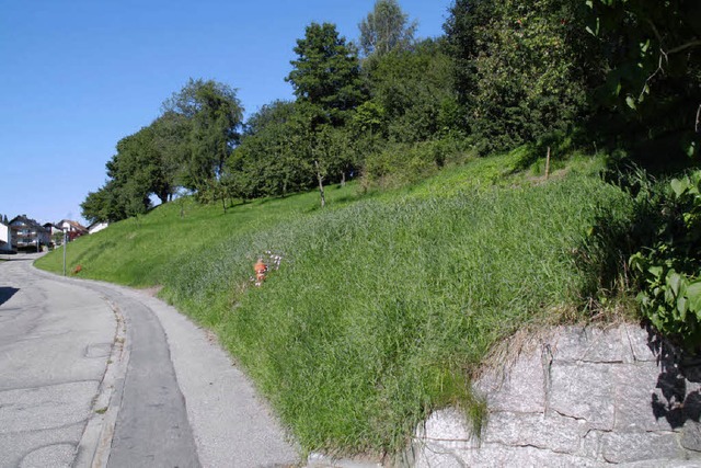 Gem den derzeitigen Planungen soll d... des Schulsportplatzes gebaut werden.   | Foto: Chris Seifried