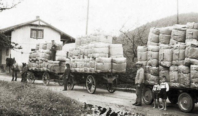 Die Elza war fast neben der Elztalbahn &#8211; praktisch fr den Warentransport.  | Foto: privat