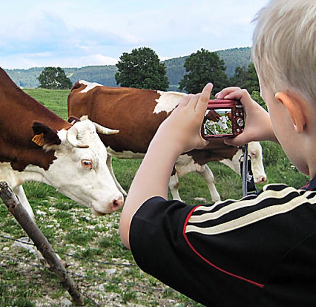 (K)ein Foto fr die Ewigkeit?  | Foto: Anselm Buhoff