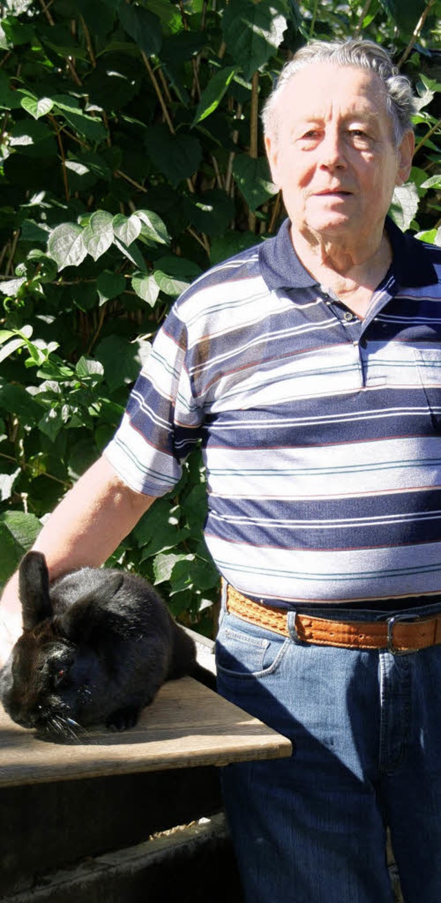 Hans Hollstein vom Kleintierzuchtverei...en mit einem seiner Pracht-Kaninchen.   | Foto: Miloslavic