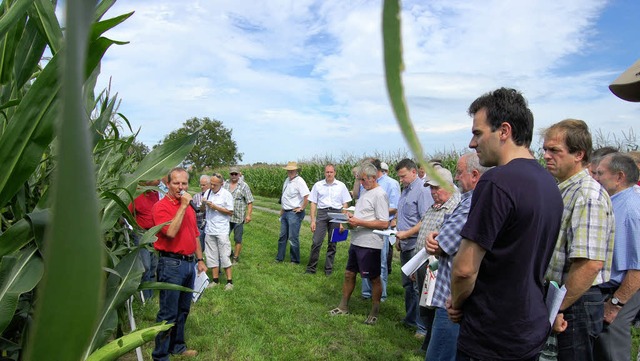 Gelassenheit herrsche beim Thema Maisw...m Maisfeldtag in Mahlberg-Orschweier.   | Foto: Hagen Spth